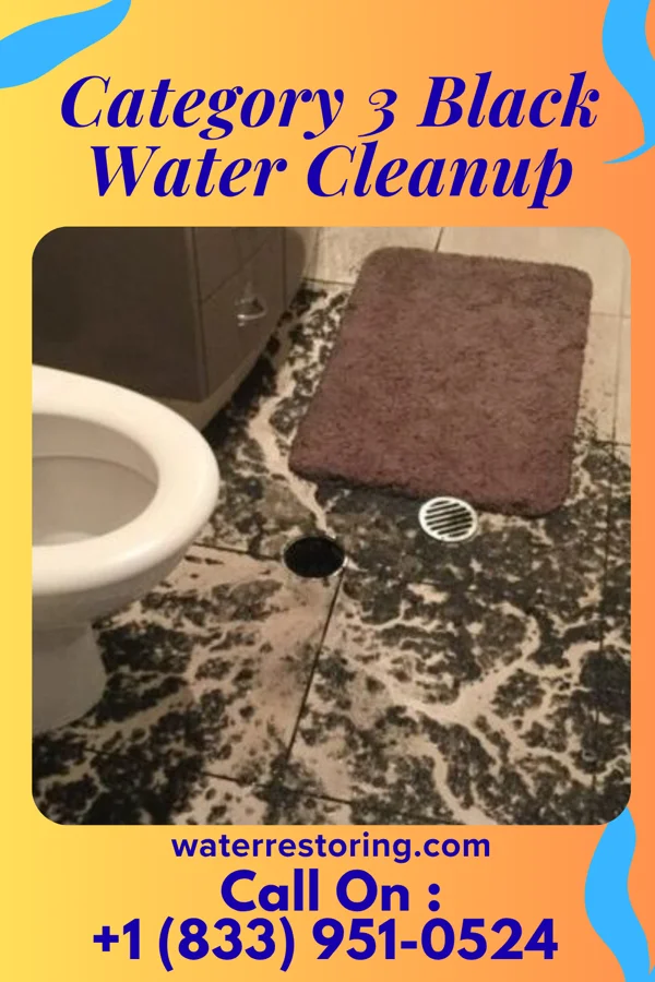 Category 3 Black Water Cleanup in Keysville, GA