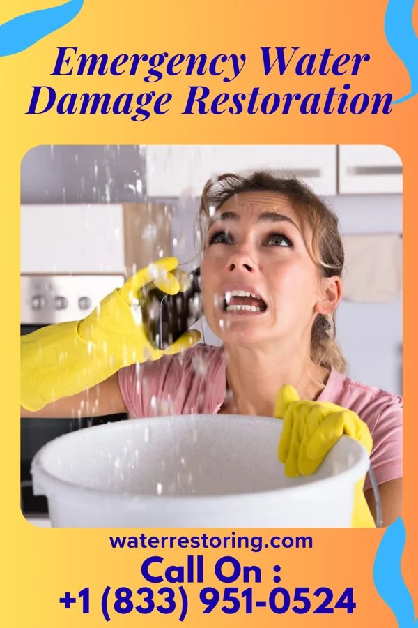 Emergency Water Damage Restoration in Keysville, GA