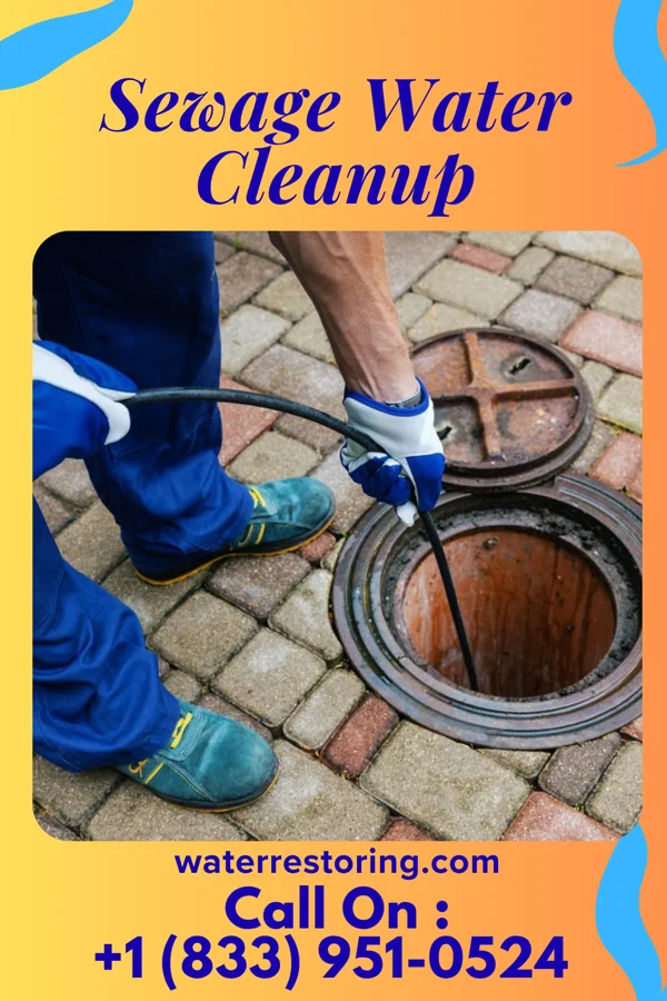 Sewage Water Cleanup in Keysville, GA