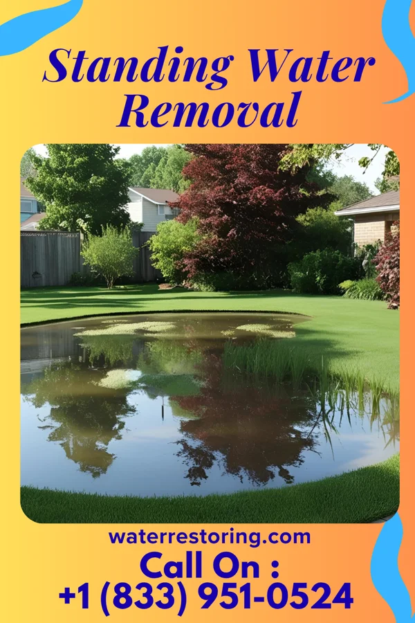 Standing Water Removal in Keysville, GA